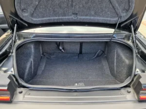 scatpack green challenger stamm